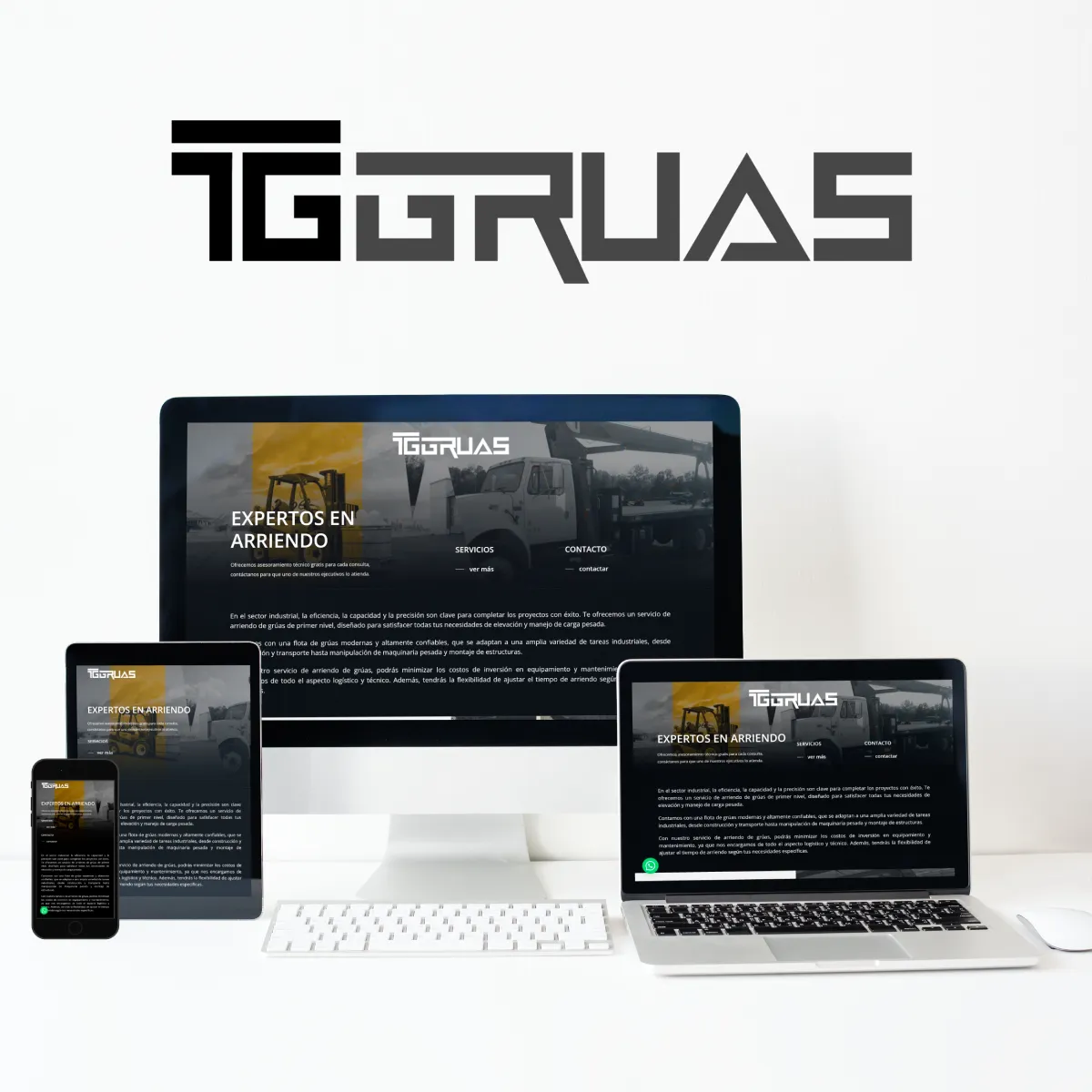 Diseño de Página web para TG Gruas por Francisco Risi