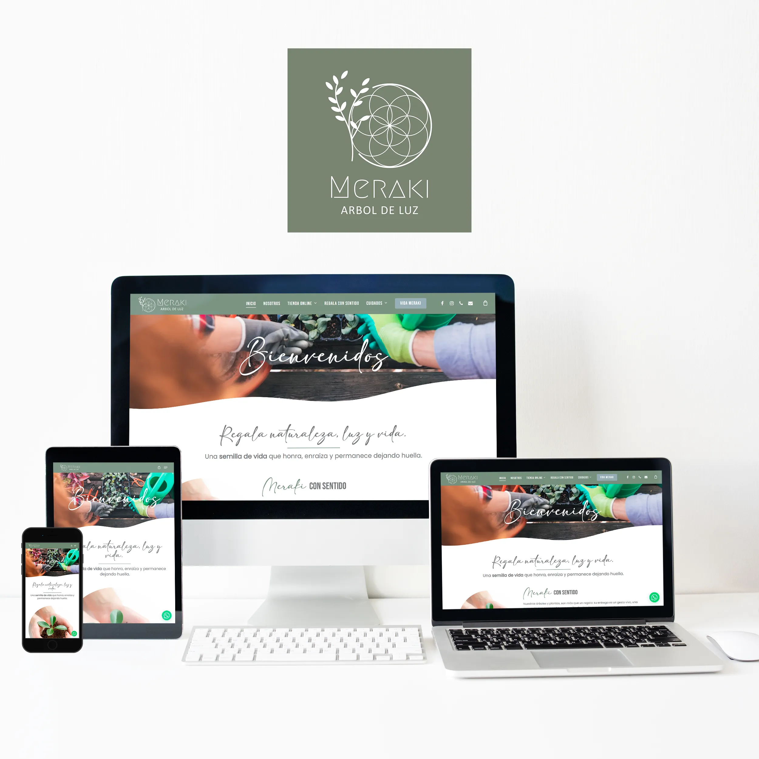 Vida Meraki, Árbol de Luz, sitio web desarrollado por Risi Websites and Designs