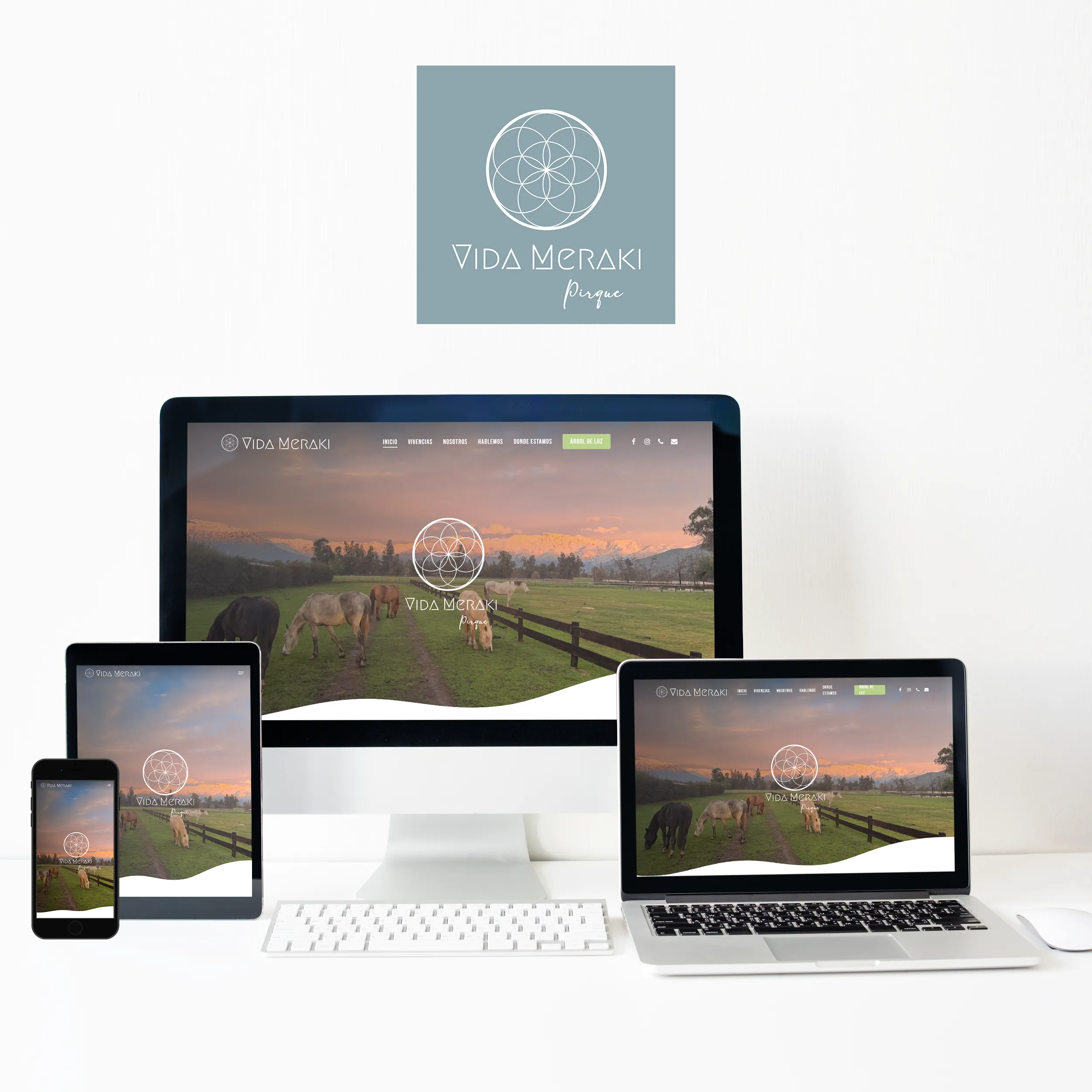 Vida Meraki sitio web desarrollado por Risi Websites and Designs