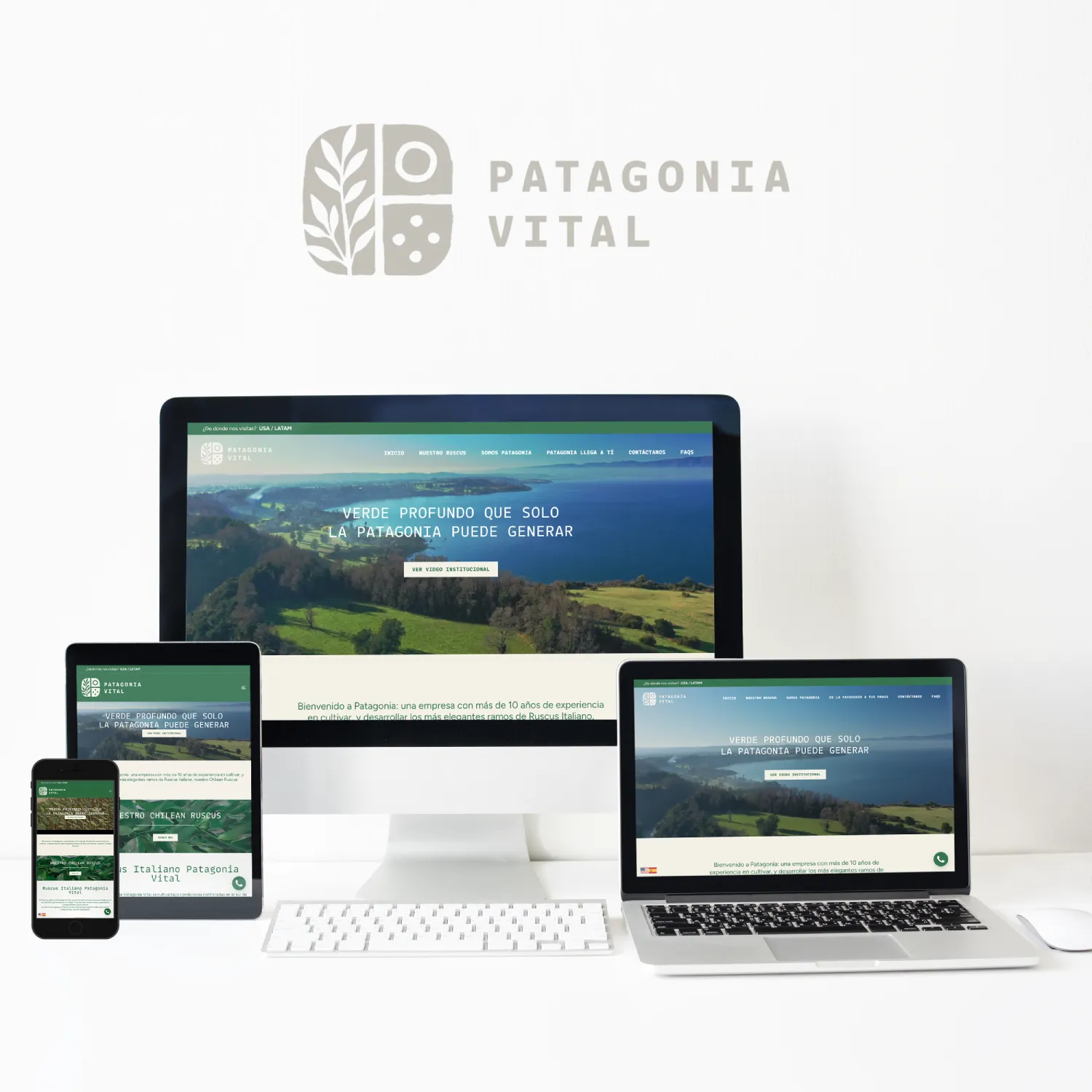 Patagonia Vital - Sitio web desarrollado por Francisco - Risi Websites & Designs