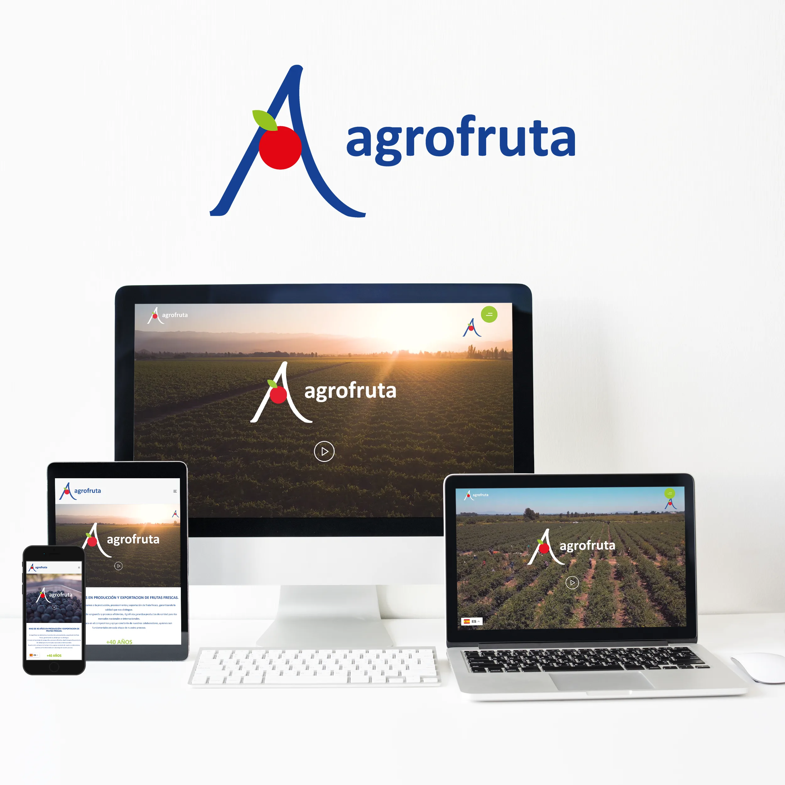 Desarrollo Web para Mpena - Sitio web de Agrofruta - Risi Websites and Designs