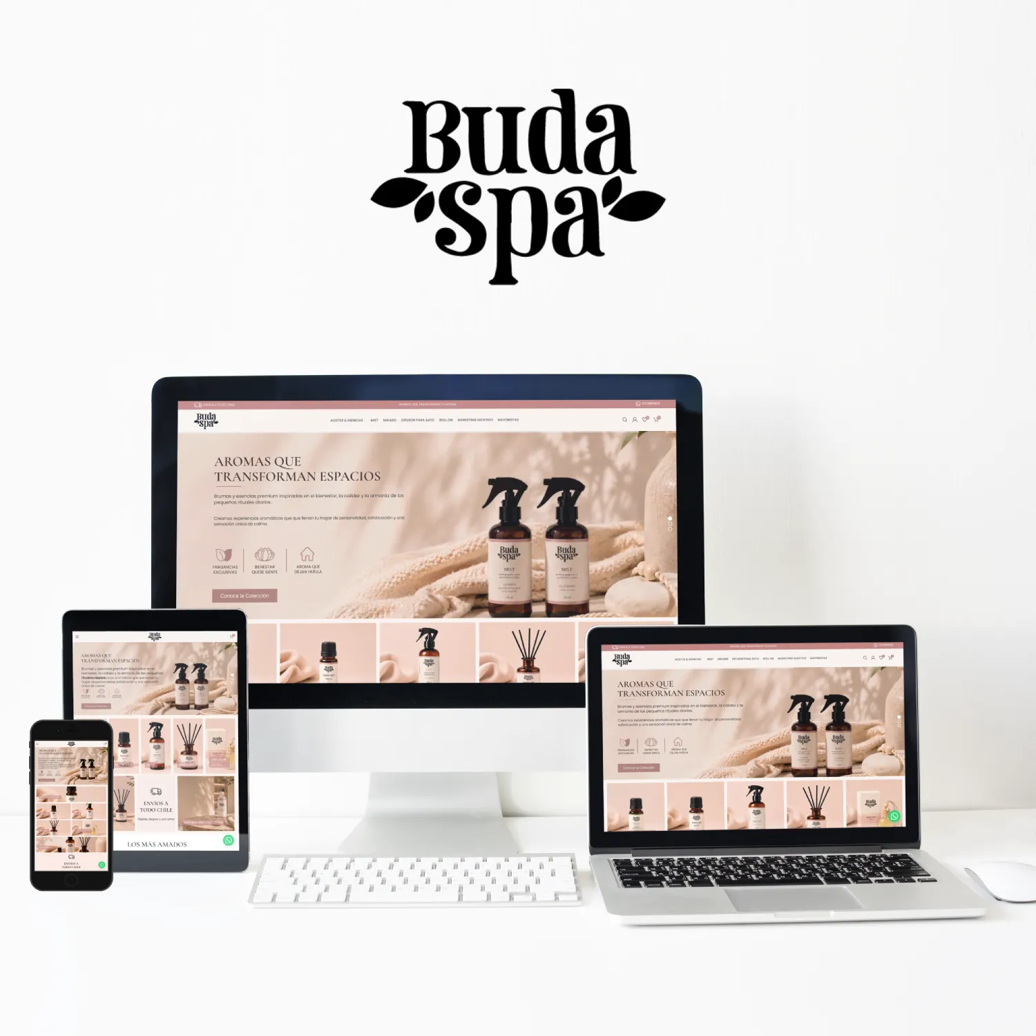 Budaspa - rediseño y desarrollo por Risi Websites and Designs (2)
