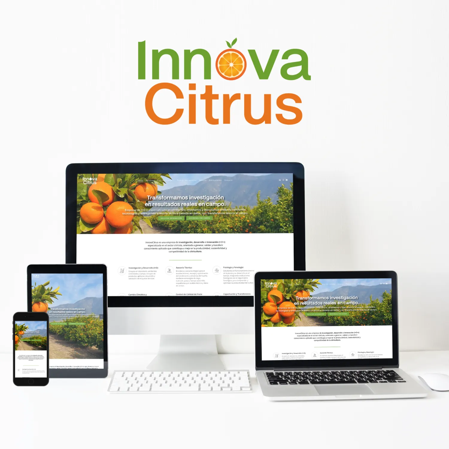 Diseño de página web corporativa para Innovacitrus