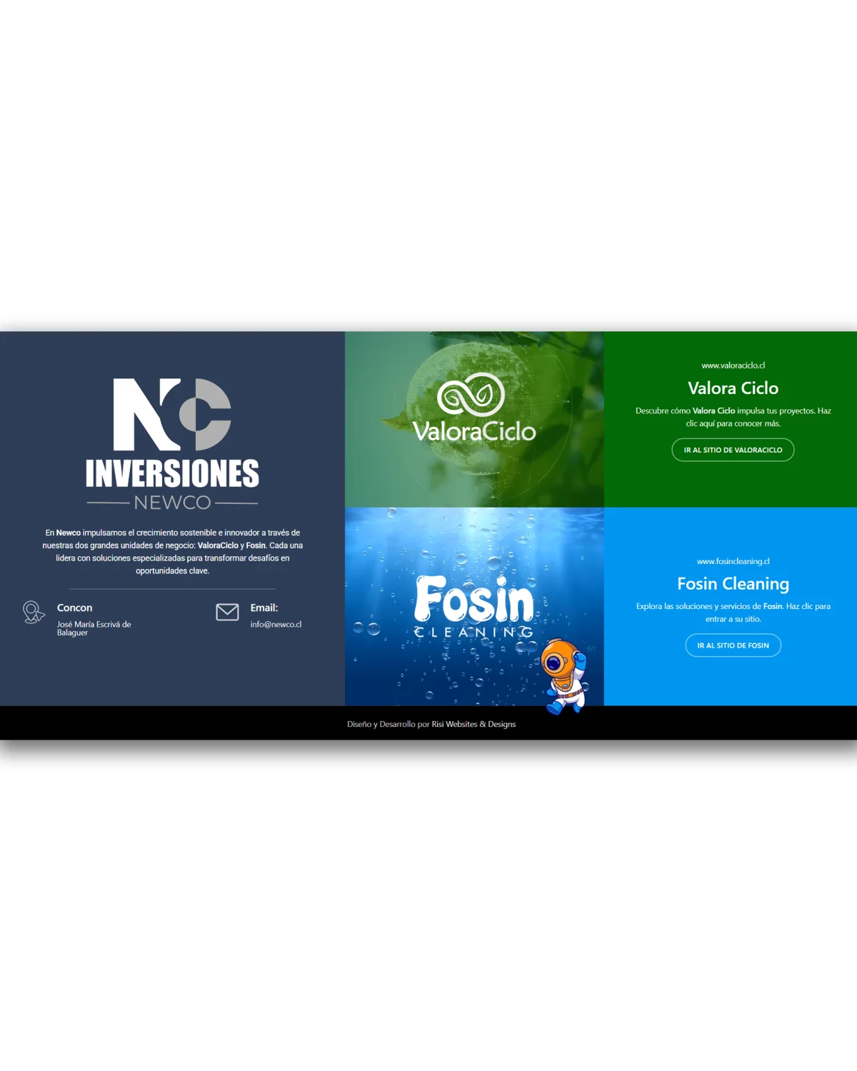 Diseño de página de aterrizaje para Newco Inversiones desarrollado por Risi Websites and Designs
