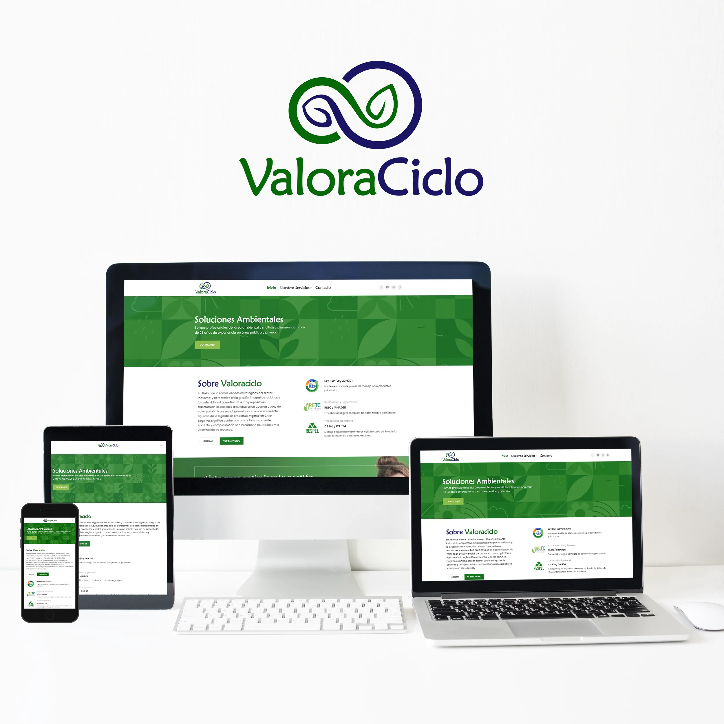 Diseño web para Valoraciclo por Risi Websites