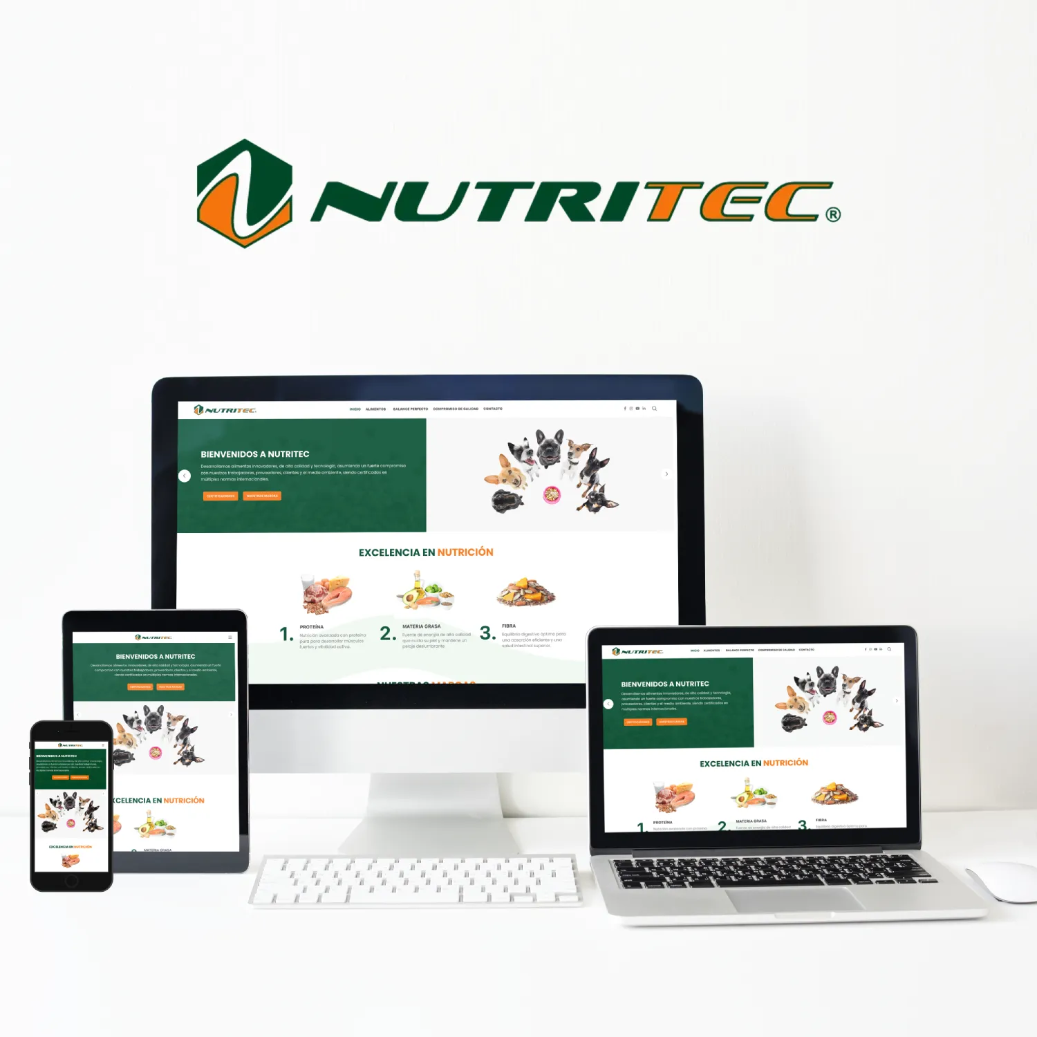 Diseño y Desarrollo de página web para Nutritec